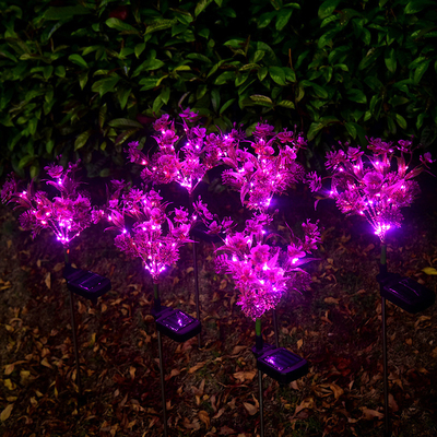 Сад СИД фаленопсиса солнечный освещает небольшие Wildflowers благоустраивает свет лужайки сада